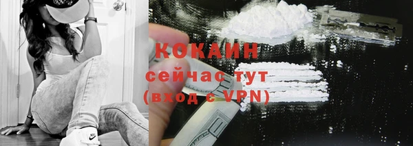 дживик Абинск